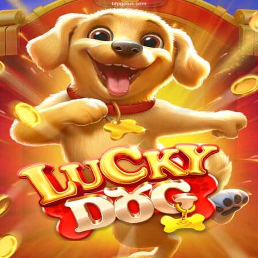 Discover Excitement with LuckyDog: The Ultimate Online Cassino Experience